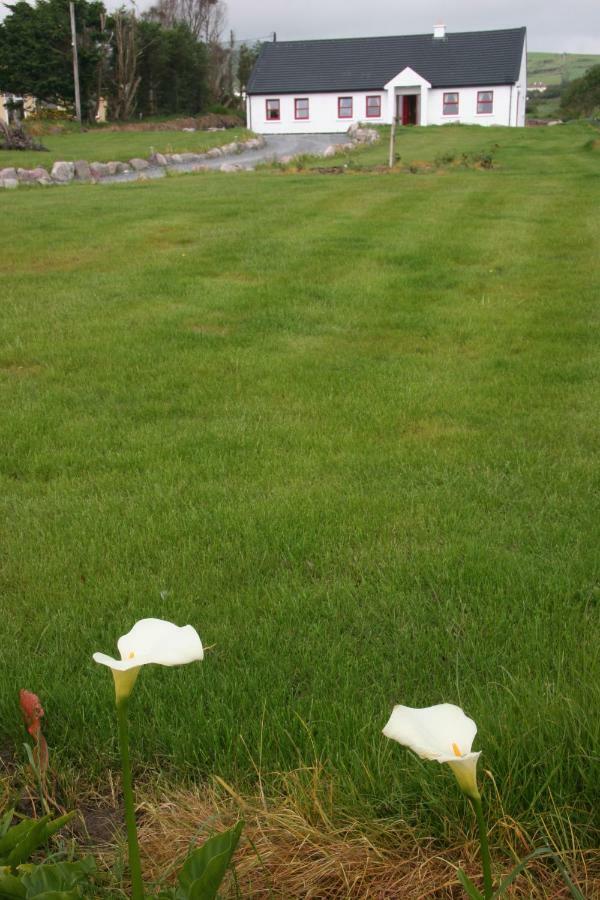 Rose Cottage Ballinskelligs Dış mekan fotoğraf