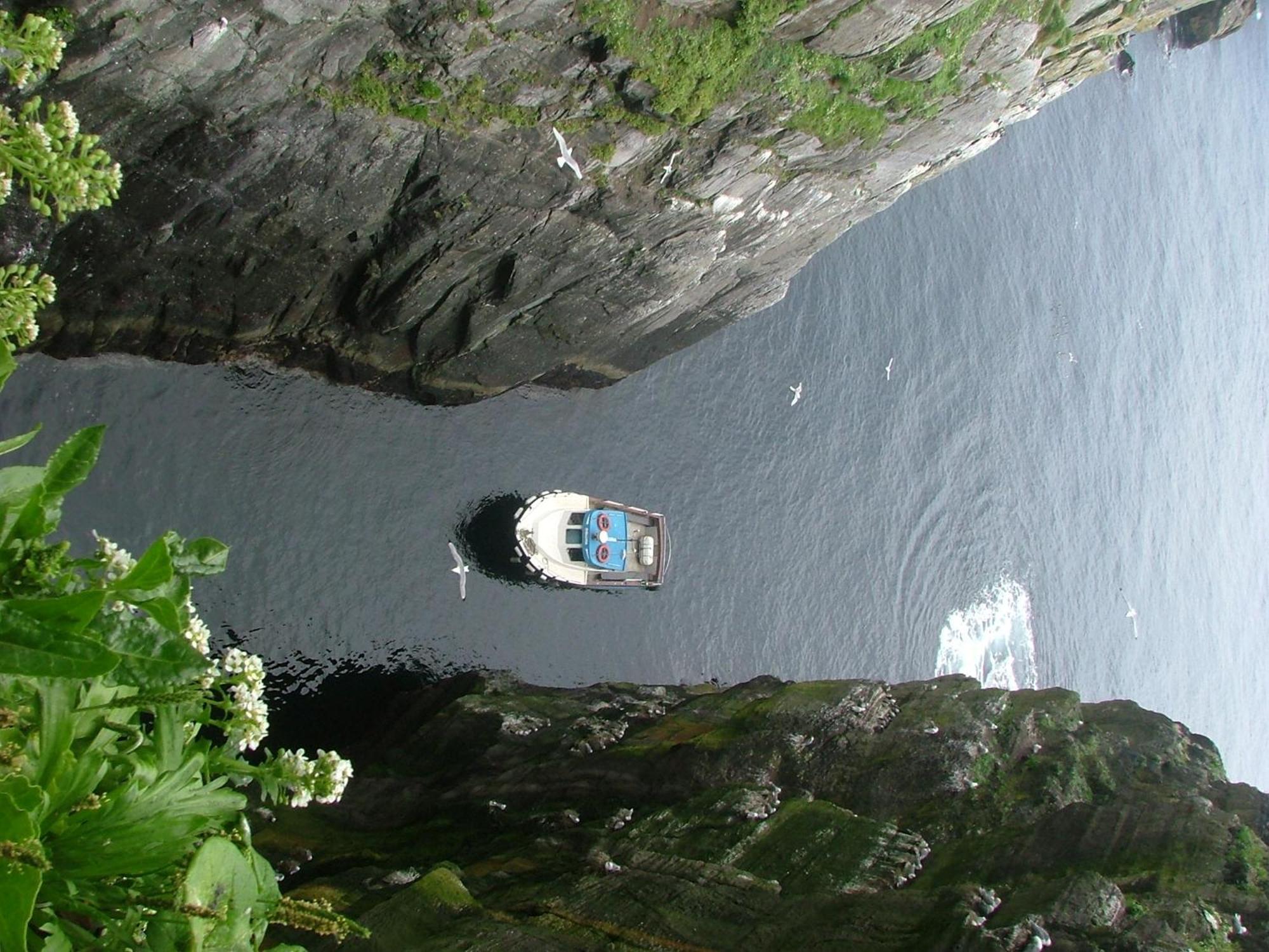 Rose Cottage Ballinskelligs Dış mekan fotoğraf