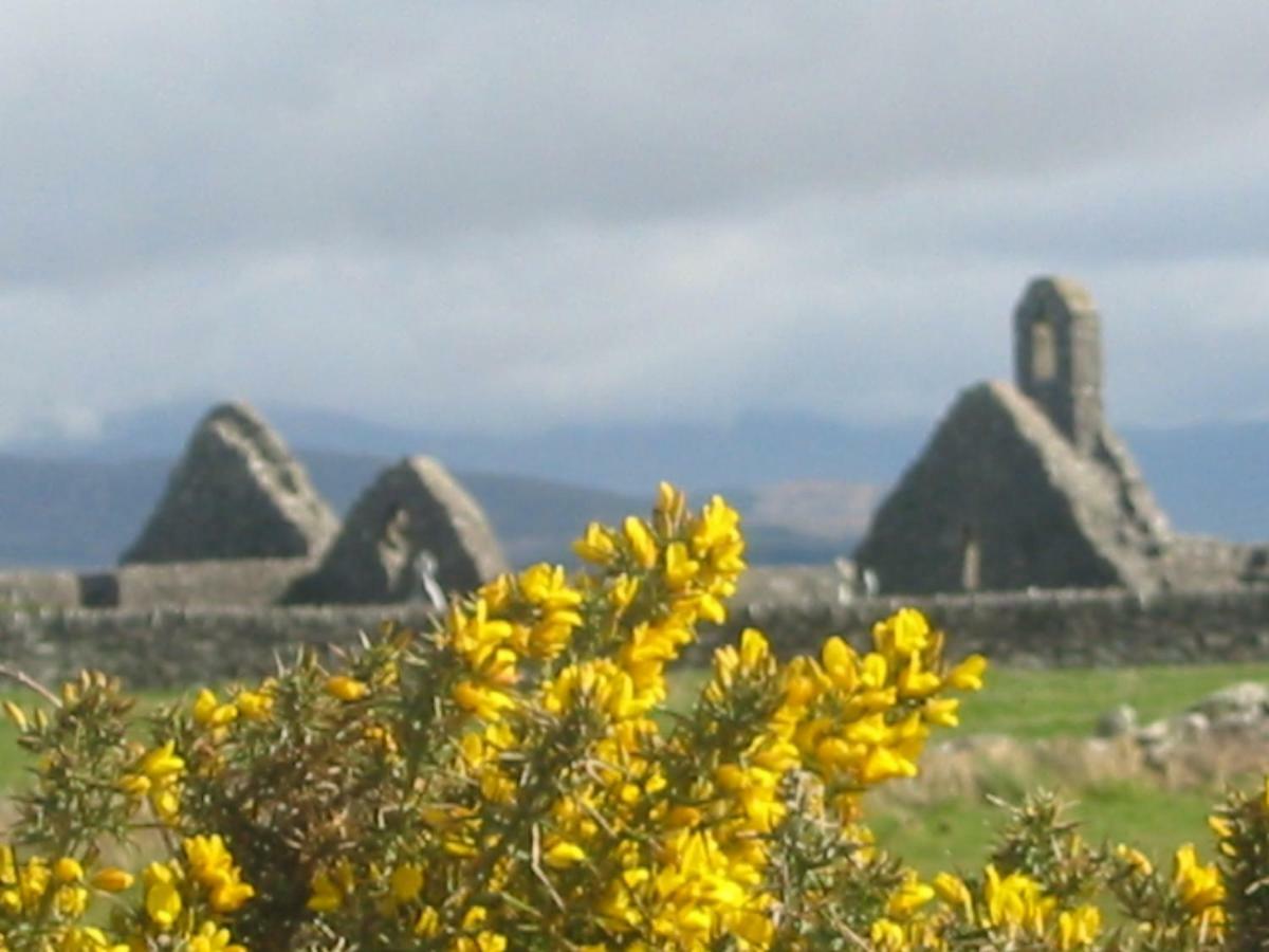 Rose Cottage Ballinskelligs Dış mekan fotoğraf
